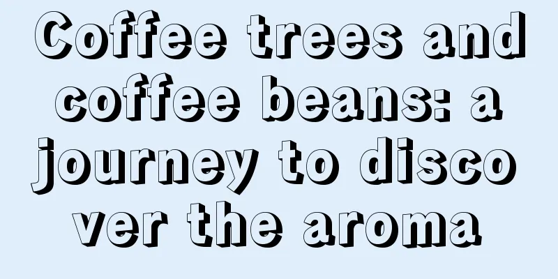 Coffee trees and coffee beans: a journey to discover the aroma