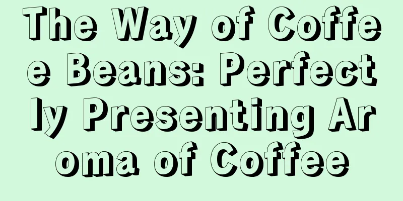 The Way of Coffee Beans: Perfectly Presenting Aroma of Coffee