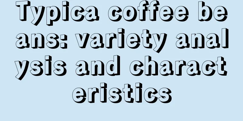 Typica coffee beans: variety analysis and characteristics