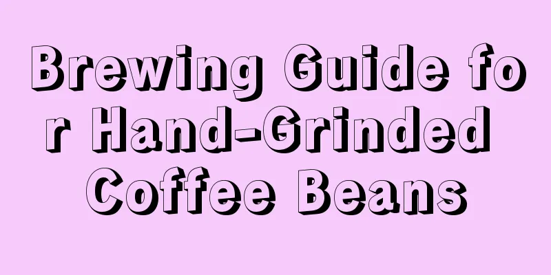 Brewing Guide for Hand-Grinded Coffee Beans