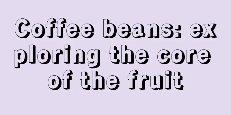 Coffee beans: exploring the core of the fruit