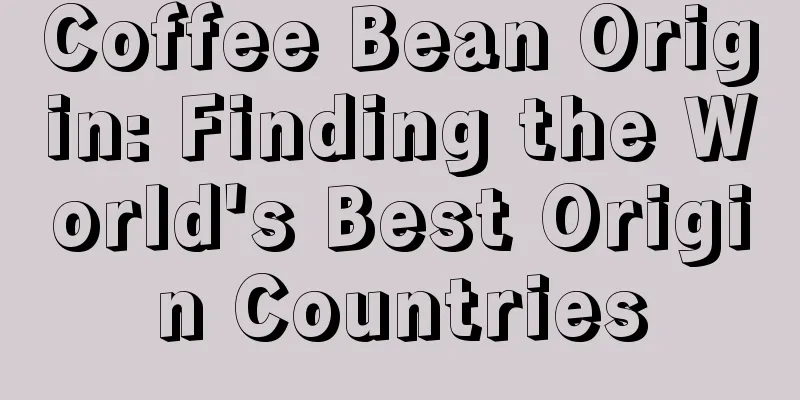 Coffee Bean Origin: Finding the World's Best Origin Countries