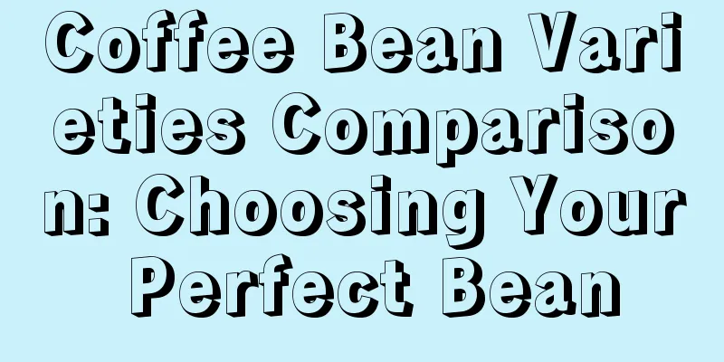 Coffee Bean Varieties Comparison: Choosing Your Perfect Bean