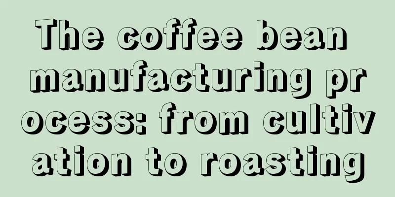 The coffee bean manufacturing process: from cultivation to roasting