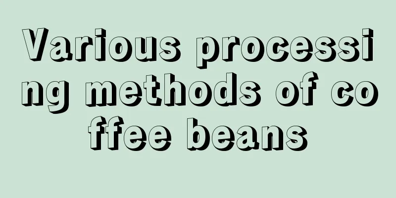 Various processing methods of coffee beans