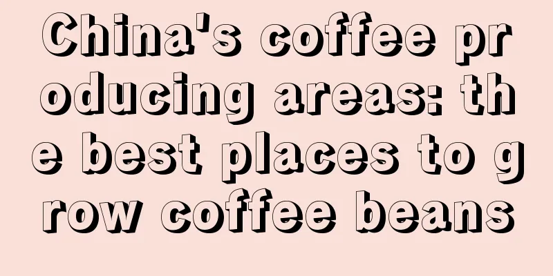 China's coffee producing areas: the best places to grow coffee beans