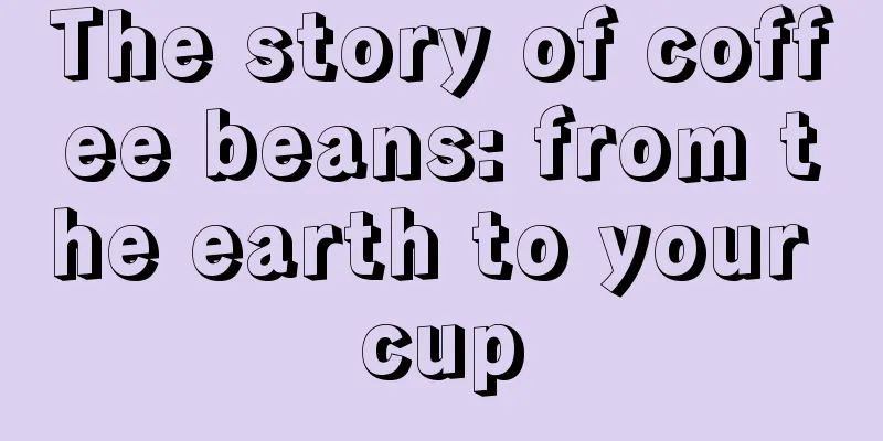 The story of coffee beans: from the earth to your cup