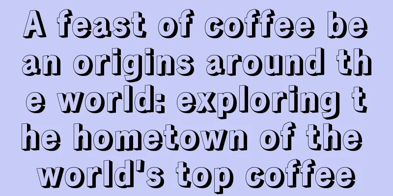 A feast of coffee bean origins around the world: exploring the hometown of the world's top coffee