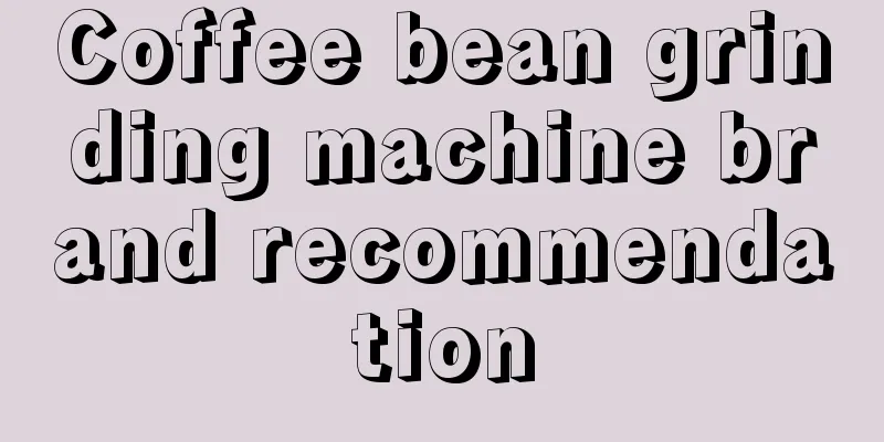 Coffee bean grinding machine brand recommendation