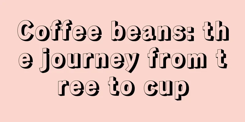 Coffee beans: the journey from tree to cup