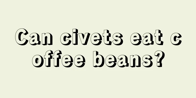 Can civets eat coffee beans?