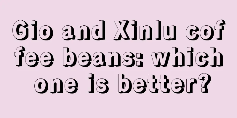 Gio and Xinlu coffee beans: which one is better?