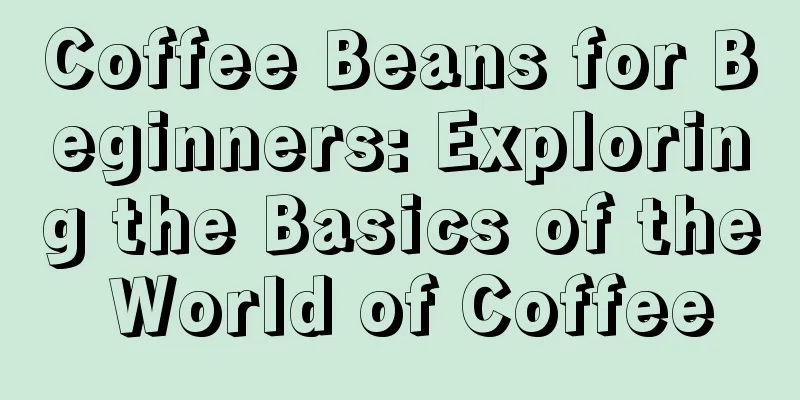 Coffee Beans for Beginners: Exploring the Basics of the World of Coffee