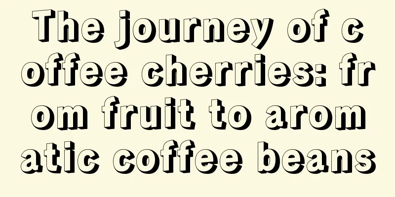 The journey of coffee cherries: from fruit to aromatic coffee beans