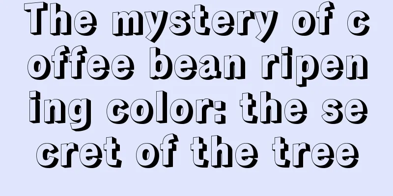 The mystery of coffee bean ripening color: the secret of the tree