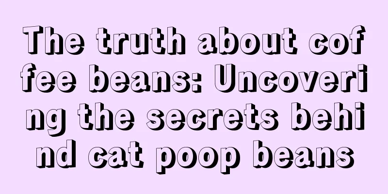 The truth about coffee beans: Uncovering the secrets behind cat poop beans