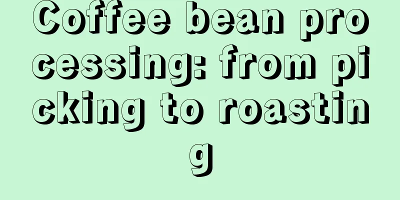 Coffee bean processing: from picking to roasting