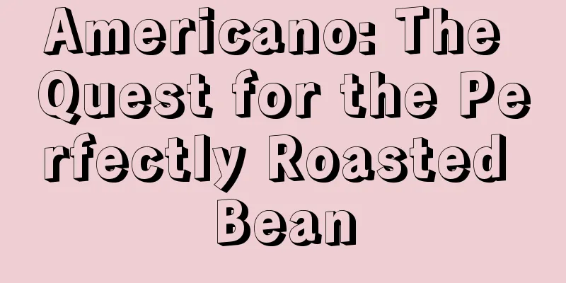 Americano: The Quest for the Perfectly Roasted Bean