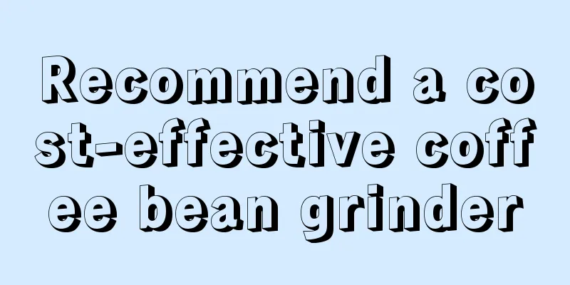 Recommend a cost-effective coffee bean grinder