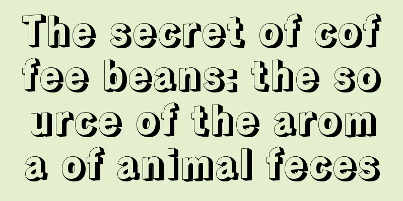 The secret of coffee beans: the source of the aroma of animal feces