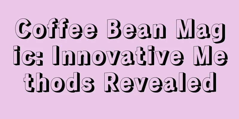 Coffee Bean Magic: Innovative Methods Revealed