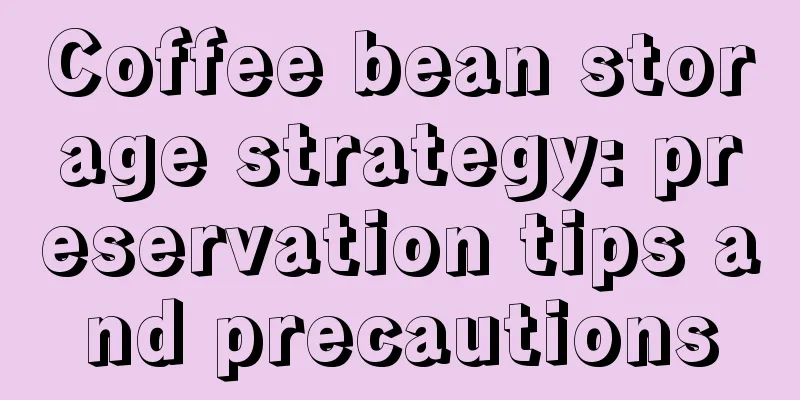 Coffee bean storage strategy: preservation tips and precautions