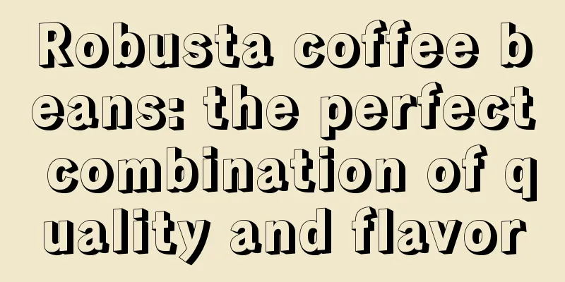 Robusta coffee beans: the perfect combination of quality and flavor