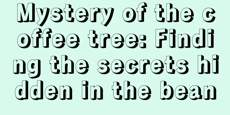 Mystery of the coffee tree: Finding the secrets hidden in the bean