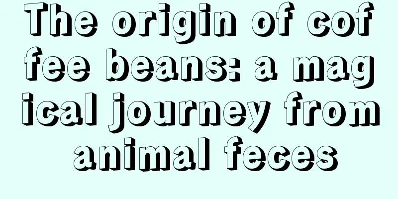 The origin of coffee beans: a magical journey from animal feces