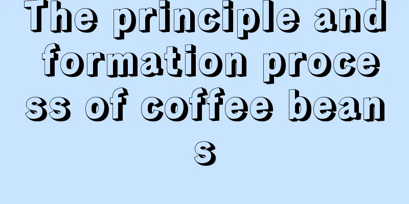 The principle and formation process of coffee beans