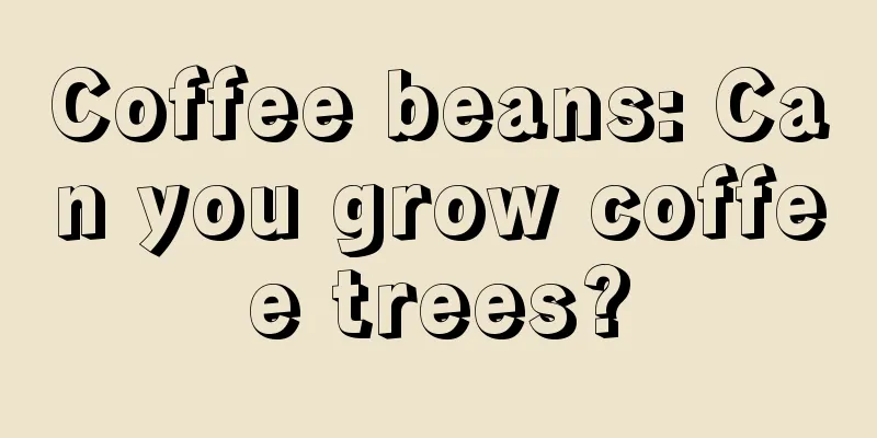 Coffee beans: Can you grow coffee trees?