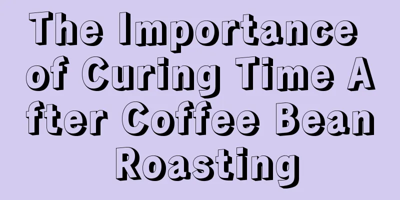 The Importance of Curing Time After Coffee Bean Roasting