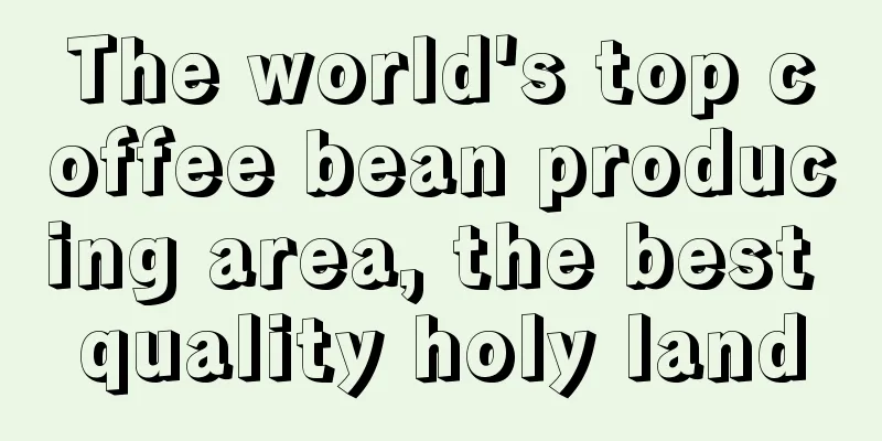 The world's top coffee bean producing area, the best quality holy land