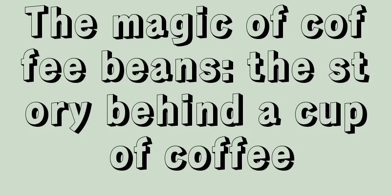 The magic of coffee beans: the story behind a cup of coffee