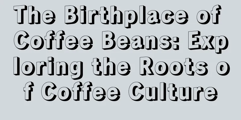 The Birthplace of Coffee Beans: Exploring the Roots of Coffee Culture