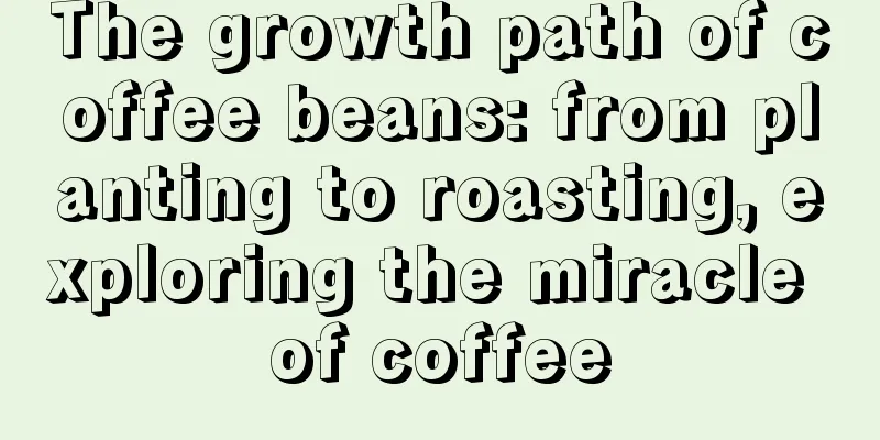 The growth path of coffee beans: from planting to roasting, exploring the miracle of coffee