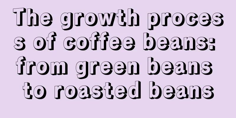 The growth process of coffee beans: from green beans to roasted beans