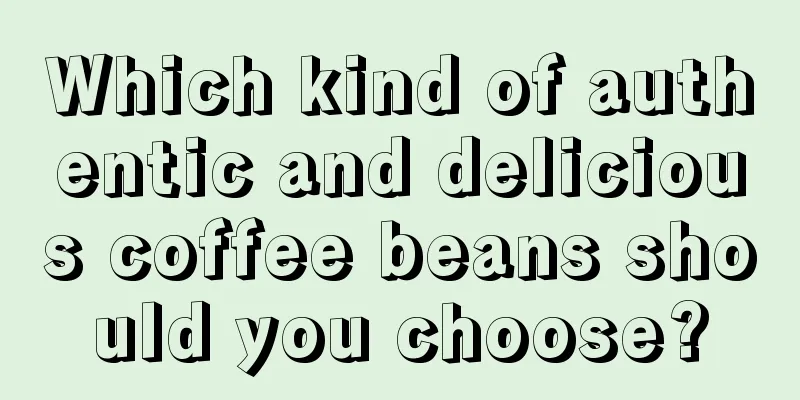 Which kind of authentic and delicious coffee beans should you choose?