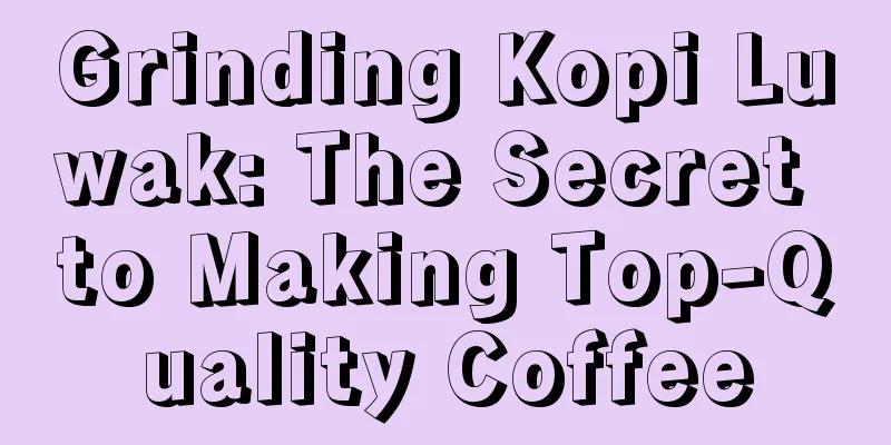 Grinding Kopi Luwak: The Secret to Making Top-Quality Coffee