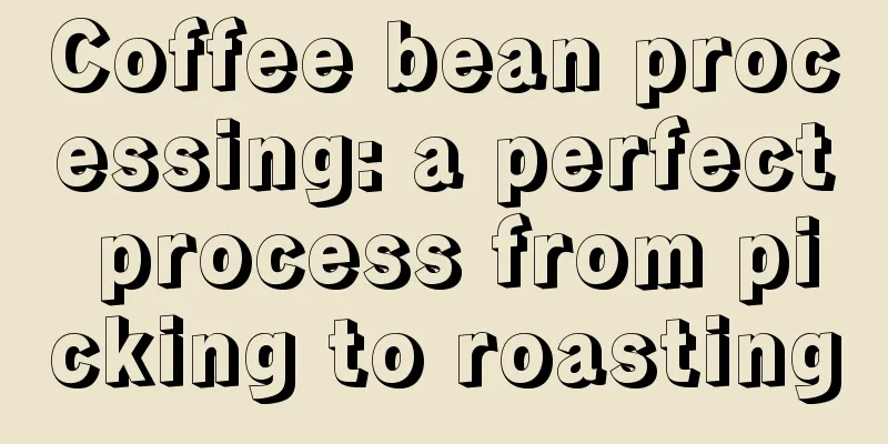 Coffee bean processing: a perfect process from picking to roasting