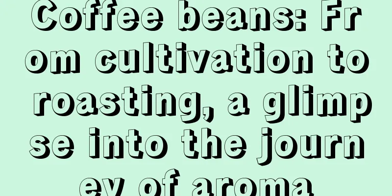 Coffee beans: From cultivation to roasting, a glimpse into the journey of aroma