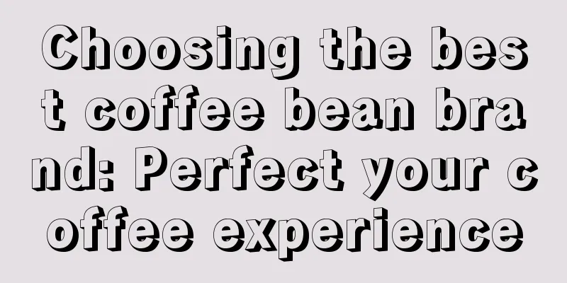 Choosing the best coffee bean brand: Perfect your coffee experience