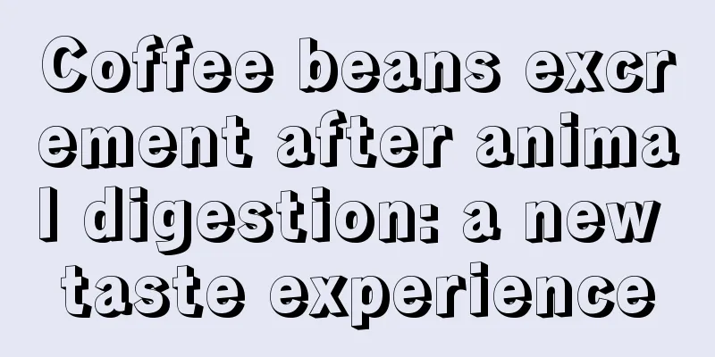 Coffee beans excrement after animal digestion: a new taste experience