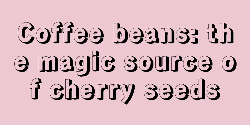 Coffee beans: the magic source of cherry seeds