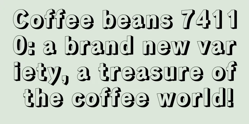 Coffee beans 74110: a brand new variety, a treasure of the coffee world!