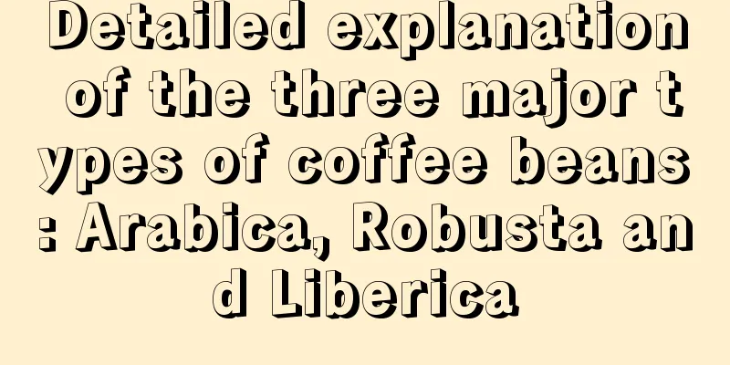 Detailed explanation of the three major types of coffee beans: Arabica, Robusta and Liberica