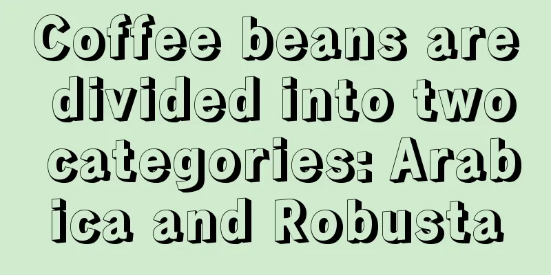 Coffee beans are divided into two categories: Arabica and Robusta