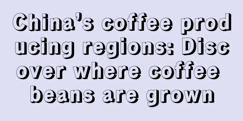 China’s coffee producing regions: Discover where coffee beans are grown