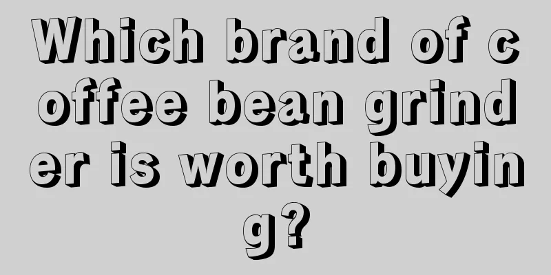 Which brand of coffee bean grinder is worth buying?