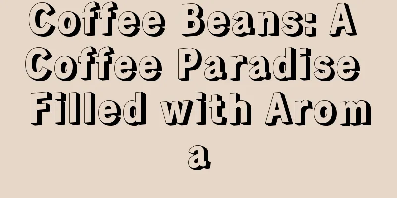 Coffee Beans: A Coffee Paradise Filled with Aroma